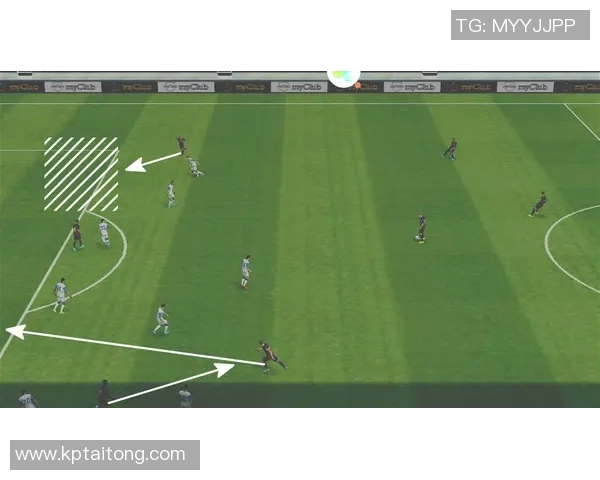 深入分析杭州排球队阵地战战术及其优势解析